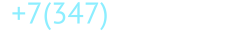 +7 (347) 293-9-900
